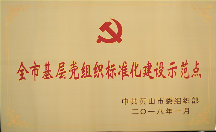 全市基層黨組織標(biāo)準(zhǔn)化建設(shè)示范點(diǎn)